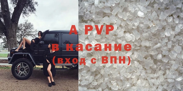 стаф Лабытнанги