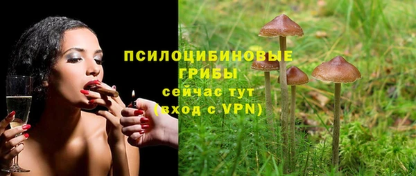стаф Лабытнанги