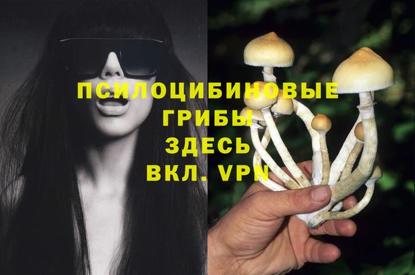 стаф Лабытнанги