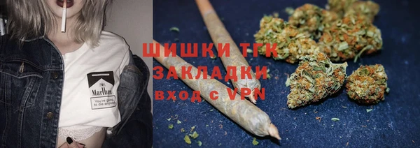 стаф Лабытнанги
