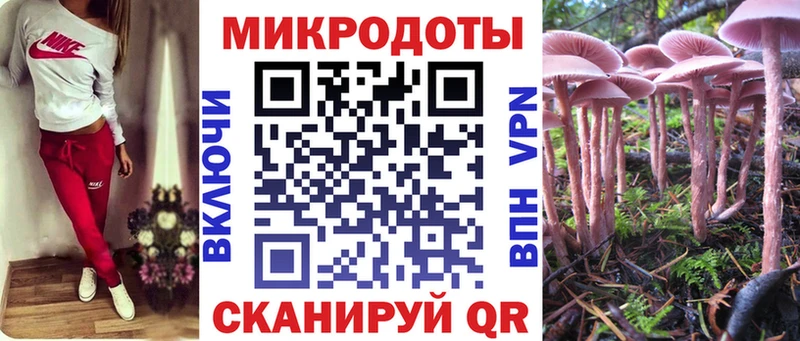 Псилоцибиновые грибы Cubensis  Магас 